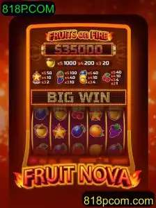 Explorando FruitNova: Uma Experiência de Jogo Inovadora